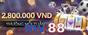 mv88
