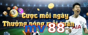 mv88